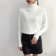 Knitted Turtleneck Long Sleeve Pullover Female Jumper Green Knitwear Knitted Turtleneck Long Sleeve Pullover Female Jumper Green Knitwear