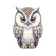 Cartoon Owl Portrait Circle Keychain Cartoon Owl Portrait Circle Keychain