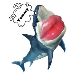 Yummy shark Heart Keychain