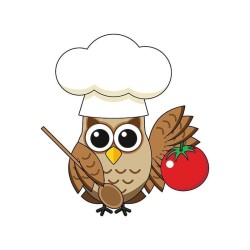 Cute Cooking Owl Cartoon Circle Keychain